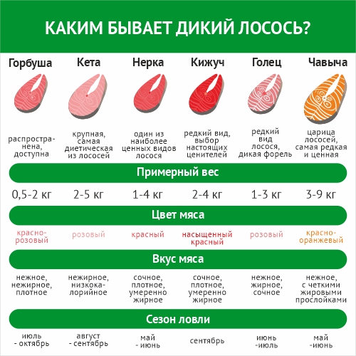 Дикий лосось кета, фарш свежемороженый «Укинский Лиман», 500 г